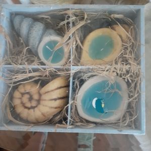 Set of 4 Sea Shell Candles
